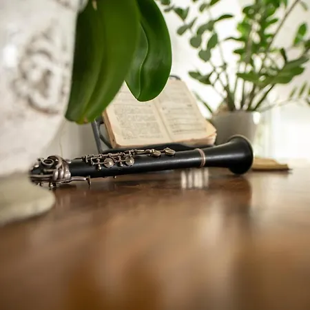 坎普酒店 4* 瑞宁根